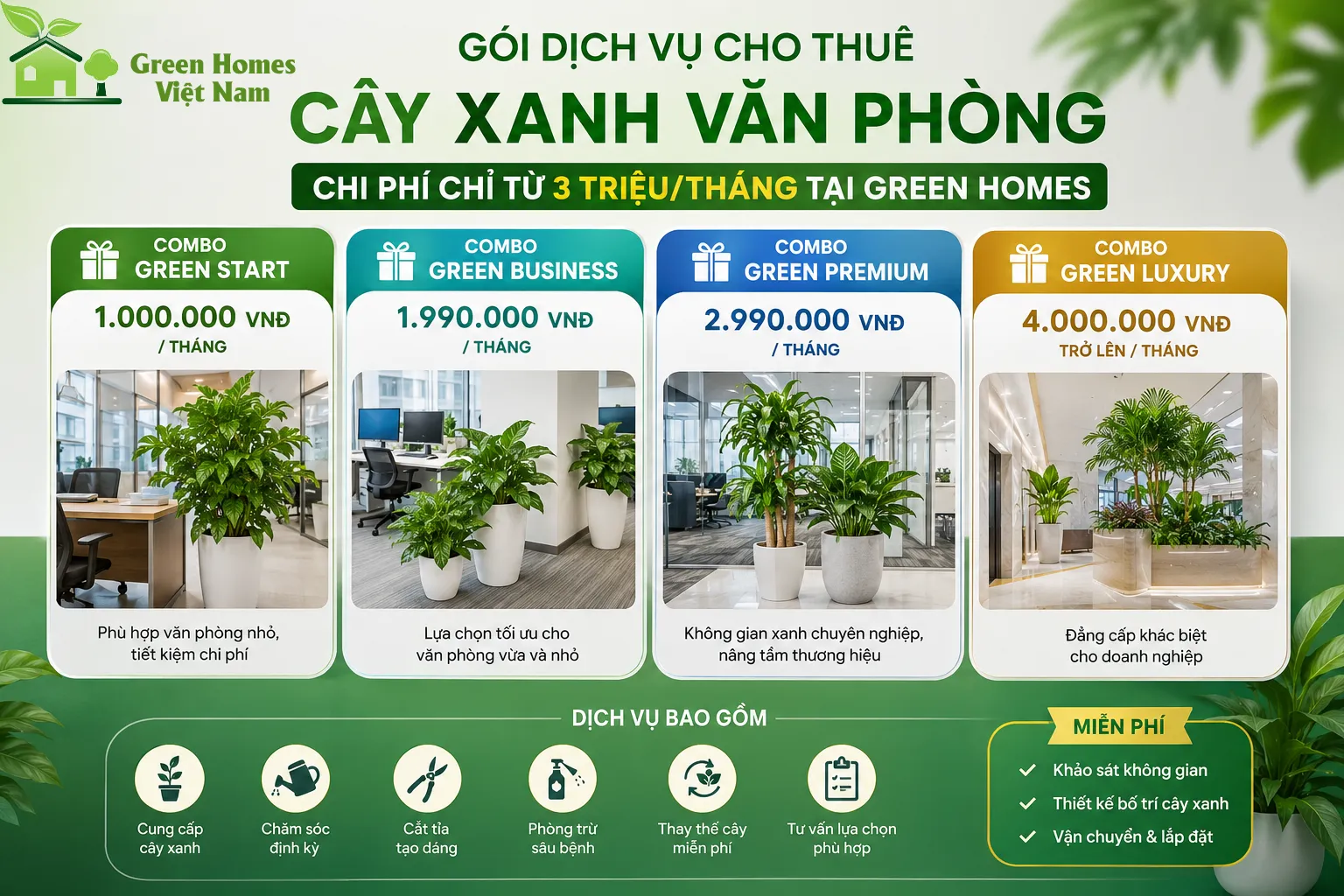 Bảng giá Dịch vụ cho thuê cây cảnh văn phòng tại Green Homes
